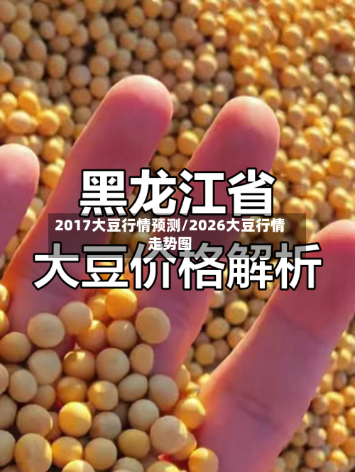 2017大豆行情预测/2026大豆行情走势图-第2张图片