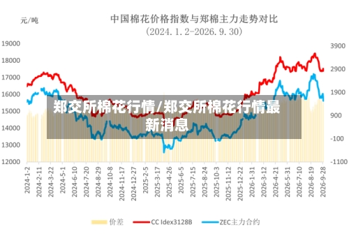 郑交所棉花行情/郑交所棉花行情最新消息