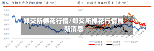 郑交所棉花行情/郑交所棉花行情最新消息-第2张图片
