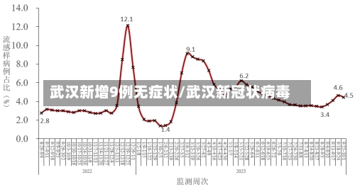 武汉新增9例无症状/武汉新冠状病毒