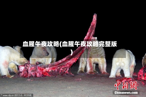 血腥午夜攻略(血腥午夜攻略完整版)