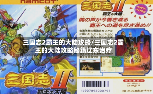 三国志2霸王的大陆攻略/三国志2霸王的大陆攻略秘籍辽东治疗