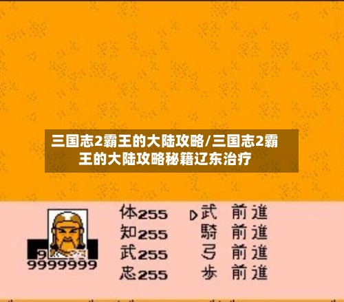 三国志2霸王的大陆攻略/三国志2霸王的大陆攻略秘籍辽东治疗-第2张图片