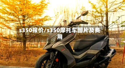 s350报价/s350摩托车图片及费用-第2张图片