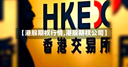 【港股期权行情,港股期权公司】