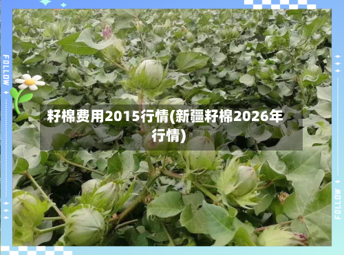 籽棉费用2015行情(新疆籽棉2026年行情)