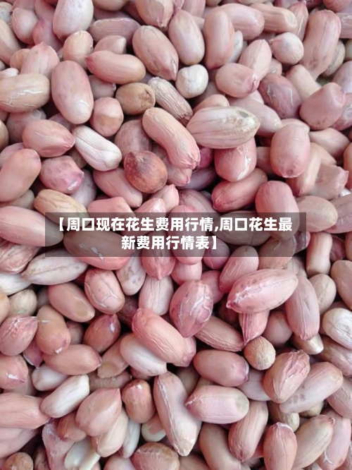 【周口现在花生费用行情,周口花生最新费用行情表】