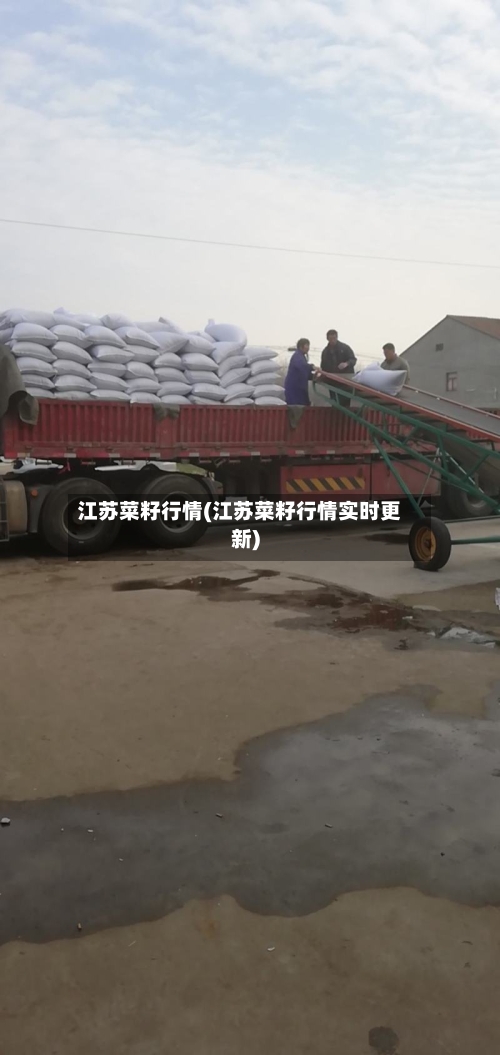 江苏菜籽行情(江苏菜籽行情实时更新)