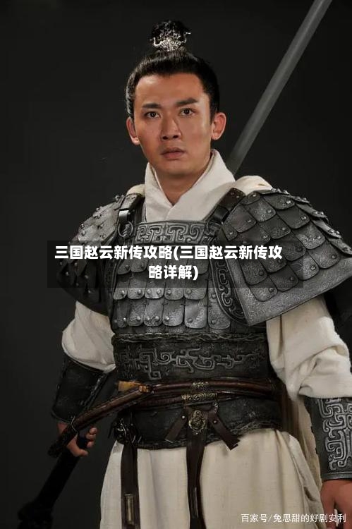 三国赵云新传攻略(三国赵云新传攻略详解)