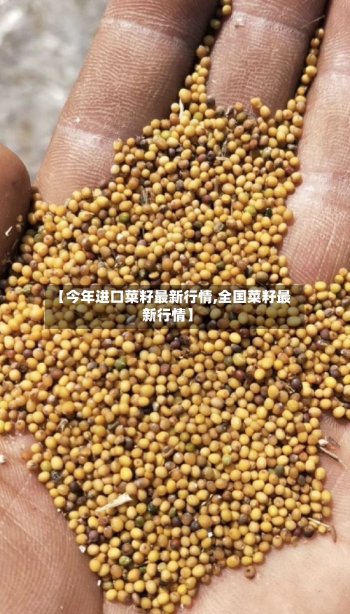 【今年进口菜籽最新行情,全国菜籽最新行情】-第2张图片