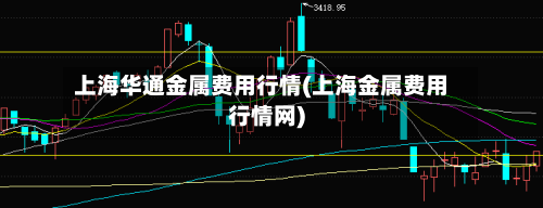 上海华通金属费用行情(上海金属费用行情网)-第2张图片