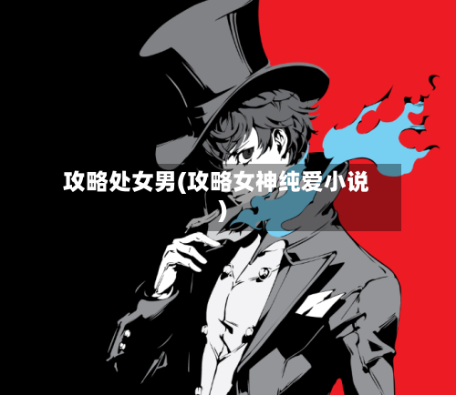 攻略处女男(攻略女神纯爱小说)-第2张图片