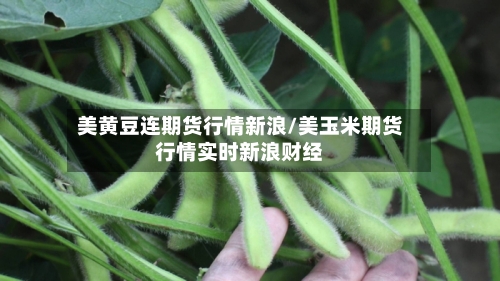美黄豆连期货行情新浪/美玉米期货行情实时新浪财经-第2张图片