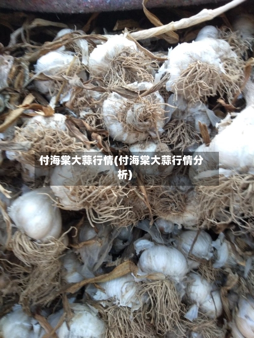付海棠大蒜行情(付海棠大蒜行情分析)