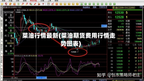 菜油行情最新(菜油期货费用行情走势图表)-第2张图片