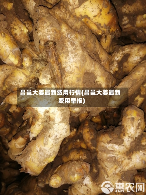 昌邑大姜最新费用行情(昌邑大姜最新费用早报)-第2张图片