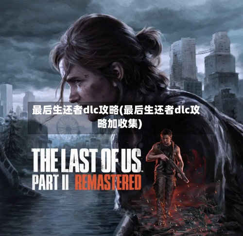 最后生还者dlc攻略(最后生还者dlc攻略加收集)