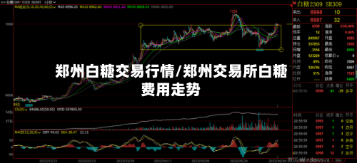 郑州白糖交易行情/郑州交易所白糖费用走势-第2张图片