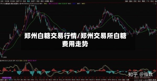 郑州白糖交易行情/郑州交易所白糖费用走势