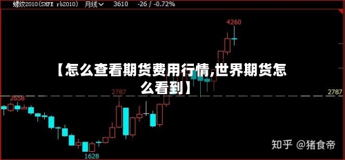 【怎么查看期货费用行情,世界期货怎么看到】