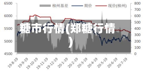 糖市行情(郑糖行情)