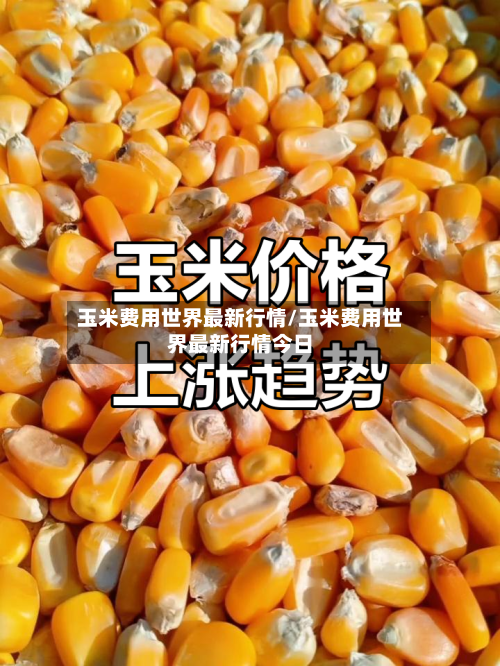 玉米费用世界最新行情/玉米费用世界最新行情今日