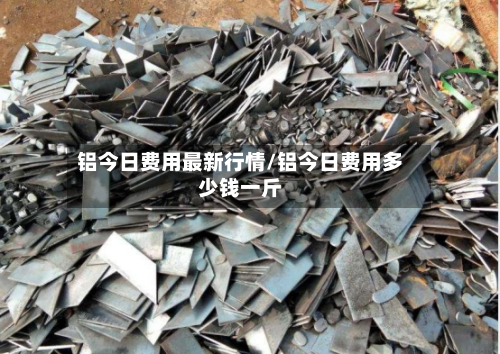 铝今日费用最新行情/铝今日费用多少钱一斤