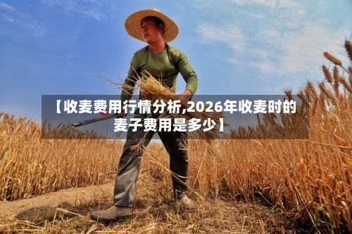 【收麦费用行情分析,2026年收麦时的麦子费用是多少】-第2张图片