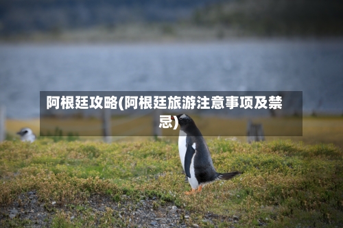 阿根廷攻略(阿根廷旅游注意事项及禁忌)-第3张图片