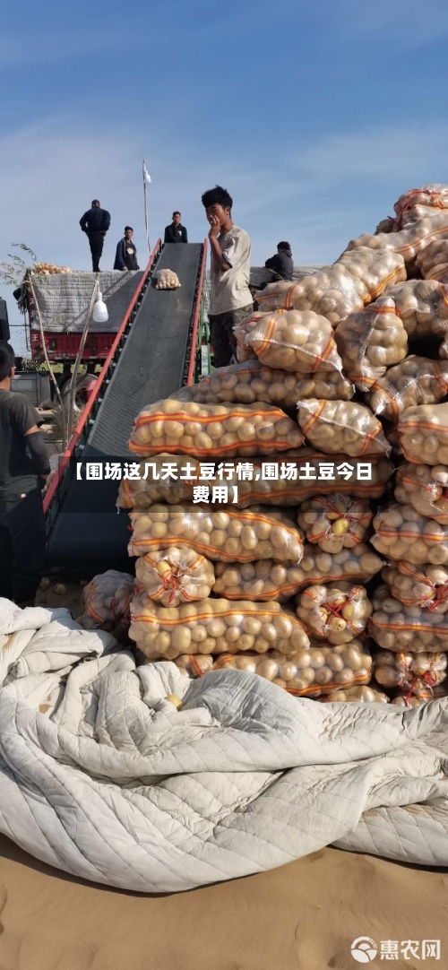 【围场这几天土豆行情,围场土豆今日费用】-第3张图片