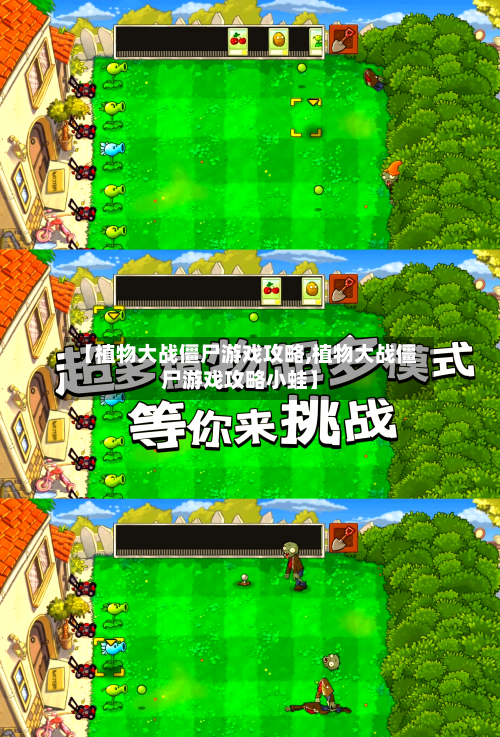 【植物大战僵尸游戏攻略,植物大战僵尸游戏攻略小蛙】
