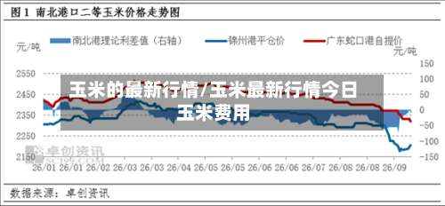 玉米的最新行情/玉米最新行情今日玉米费用