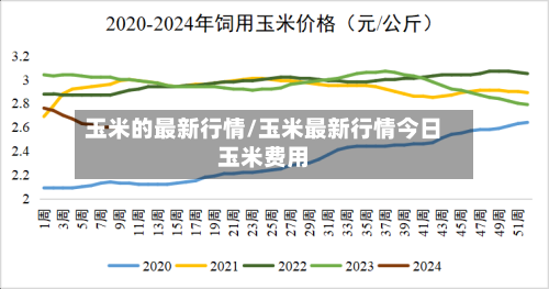 玉米的最新行情/玉米最新行情今日玉米费用-第2张图片