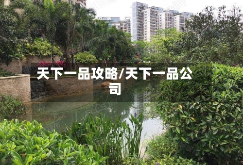 天下一品攻略/天下一品公司-第2张图片
