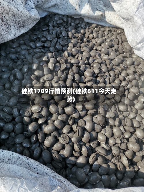 硅铁1709行情预测(硅铁611今天走势)