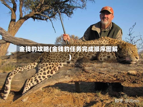 金钱豹攻略(金钱豹任务完成顺序图解)-第3张图片