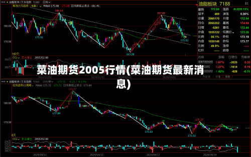 菜油期货2005行情(菜油期货最新消息)