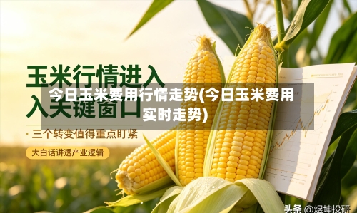 今日玉米费用行情走势(今日玉米费用实时走势)