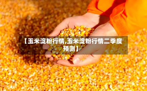 【玉米淀粉行情,玉米淀粉行情二季度预测】