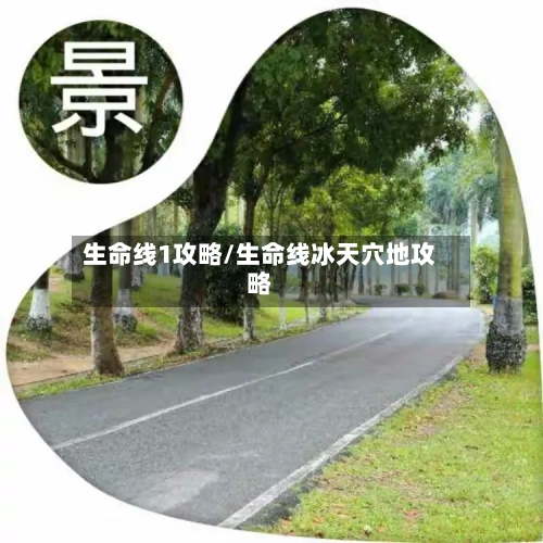生命线1攻略/生命线冰天穴地攻略-第2张图片