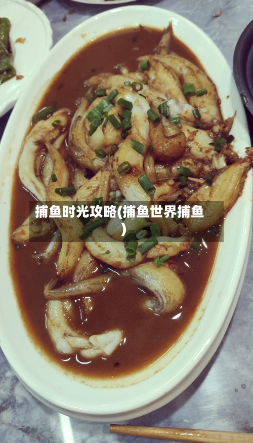 捕鱼时光攻略(捕鱼世界捕鱼)