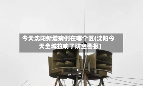 今天沈阳新增病例在哪个区(沈阳今天全城拉响了防空警报)