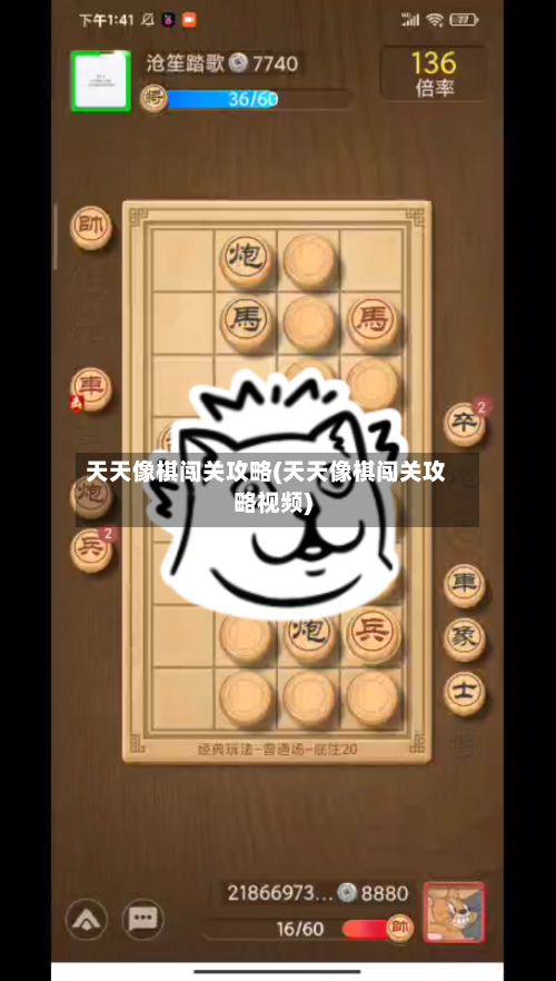 天天像棋闯关攻略(天天像棋闯关攻略视频)