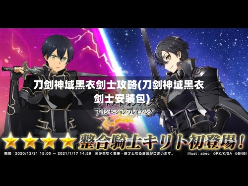 刀剑神域黑衣剑士攻略(刀剑神域黑衣剑士安装包)-第3张图片