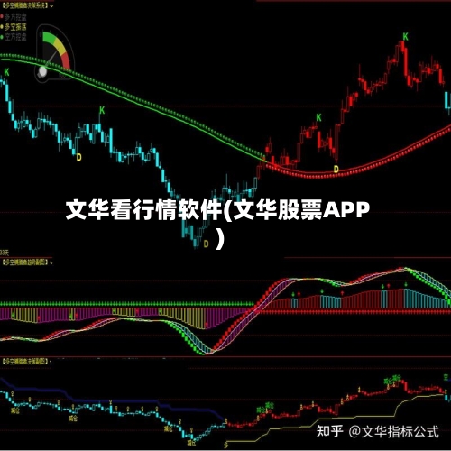 文华看行情软件(文华股票APP)