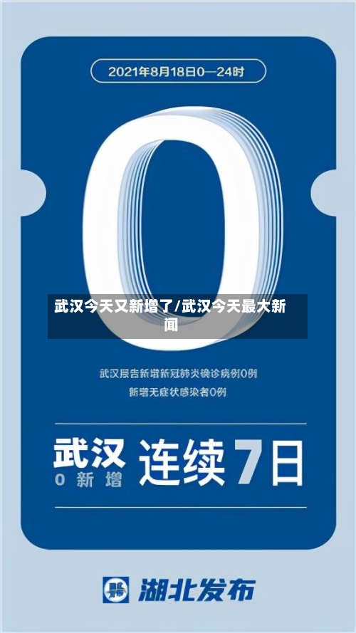 武汉今天又新增了/武汉今天最大新闻-第2张图片