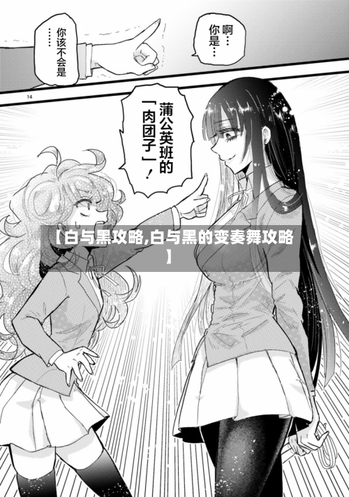 【白与黑攻略,白与黑的变奏舞攻略】