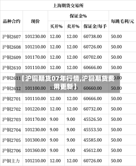 【沪铜期货07年行情,沪铜期货费用更新】-第2张图片