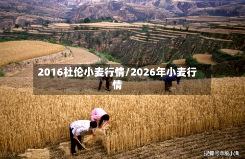 2016杜伦小麦行情/2026年小麦行情