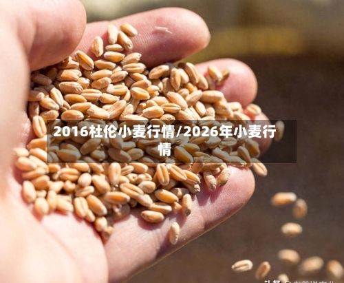 2016杜伦小麦行情/2026年小麦行情-第3张图片